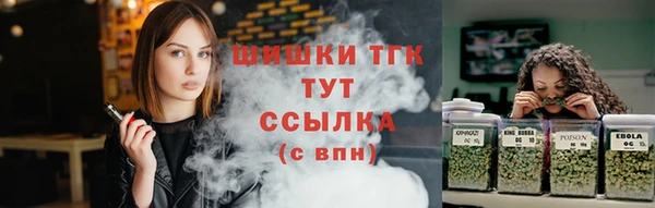 дурь Надым