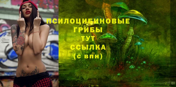 дурь Надым