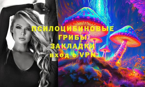 дурь Надым